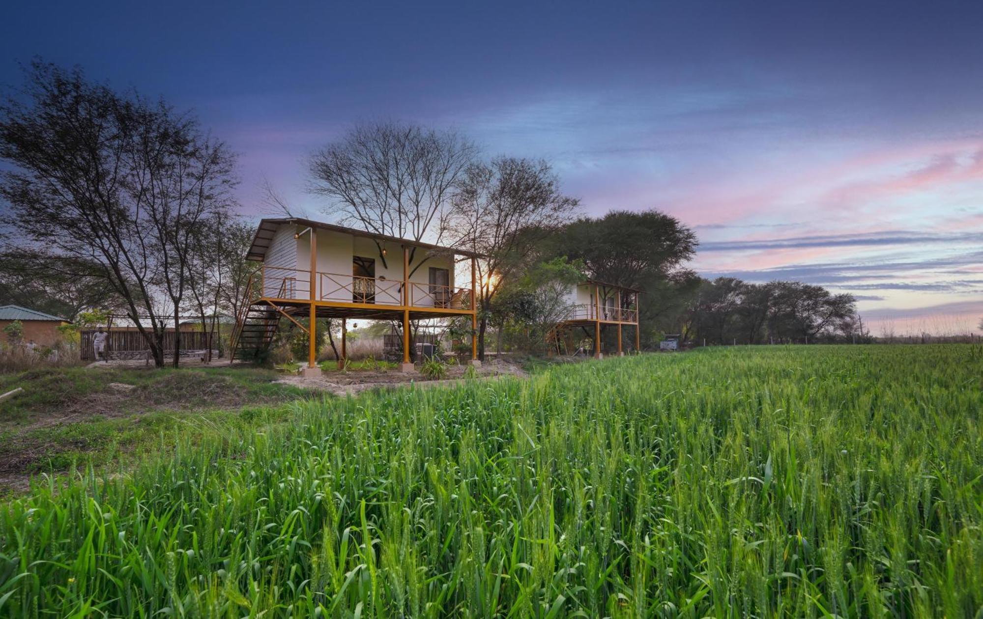 Bagh Serai - Rustic Cottage With Private Pool Sawai Madhopur Exterior foto